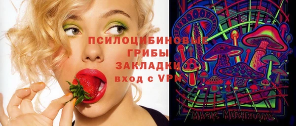 дживик Алзамай