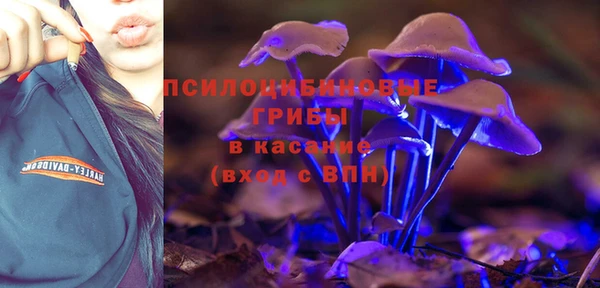 амф Алексеевка