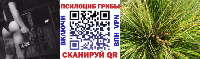 omg зеркало  Саров  Галлюциногенные грибы Psilocybe 