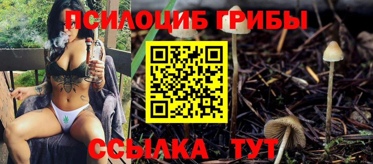 Галлюциногенные грибы GOLDEN TEACHER Саров