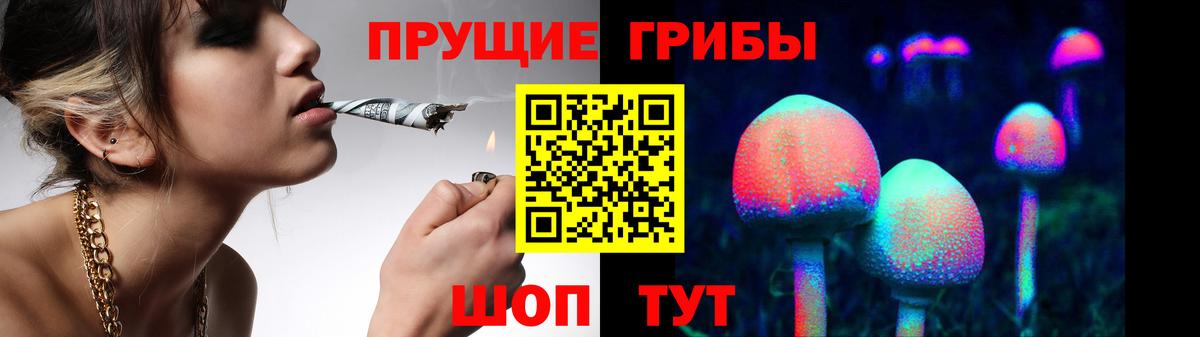 Саров  Галлюциногенные грибы GOLDEN TEACHER  дарнет шоп  Вход с VPN 